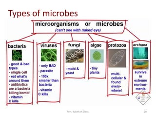 Mrs. Babitha K Devu 20
Types of microbes
 