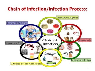 Chain of Infection/Infection Process:
Mrs. Babitha K Devu 22
 