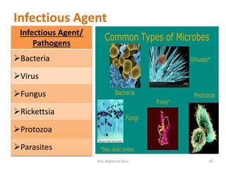 Infectious Agent
Infectious Agent/
Pathogens
Bacteria
Virus
Fungus
Rickettsia
Protozoa
Parasites
Mrs. Babitha K Devu 24
 