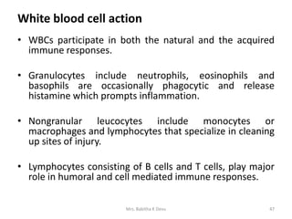 White blood cell action
• WBCs participate in both the natural and the acquired
immune responses.
• Granulocytes include neutrophils, eosinophils and
basophils are occasionally phagocytic and release
histamine which prompts inflammation.
• Nongranular leucocytes include monocytes or
macrophages and lymphocytes that specialize in cleaning
up sites of injury.
• Lymphocytes consisting of B cells and T cells, play major
role in humoral and cell mediated immune responses.
47Mrs. Babitha K Devu
 