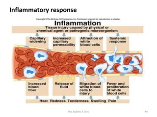 Inflammatory response
49Mrs. Babitha K Devu
 