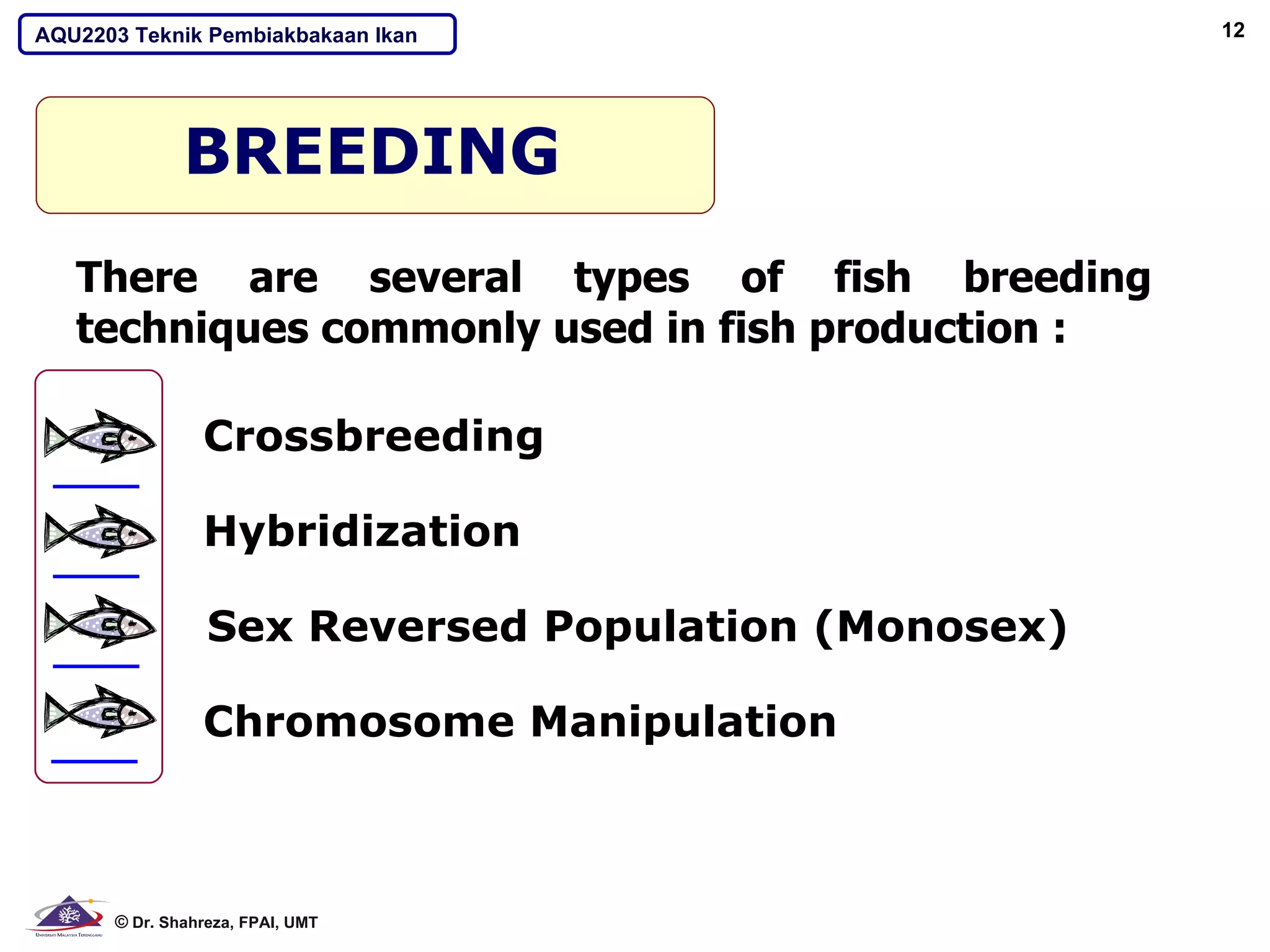 AQU2203 Teknik Pembiakbakaan Ikan                    12




              BREEDING
   There are several types of fish breeding
   techniques commonly used in fish production :

                Crossbreeding

                Hybridization

                 Sex Reversed Population (Monosex)

                Chromosome Manipulation



      © Dr. Shahreza, FPAI, UMT
 