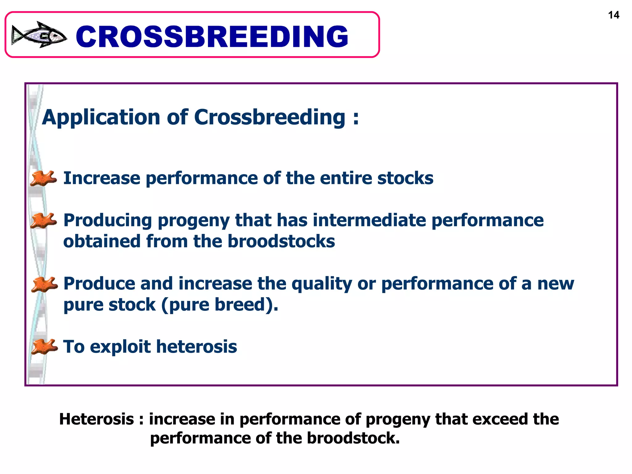 14




Application of Crossbreeding :

  Increase performance of the entire stocks

  Producing progeny that has intermediate performance
  obtained from the broodstocks

  Produce and increase the quality or performance of a new
  pure stock (pure breed).

  To exploit heterosis



 Heterosis : increase in performance of progeny that exceed the
             performance of the broodstock.
 