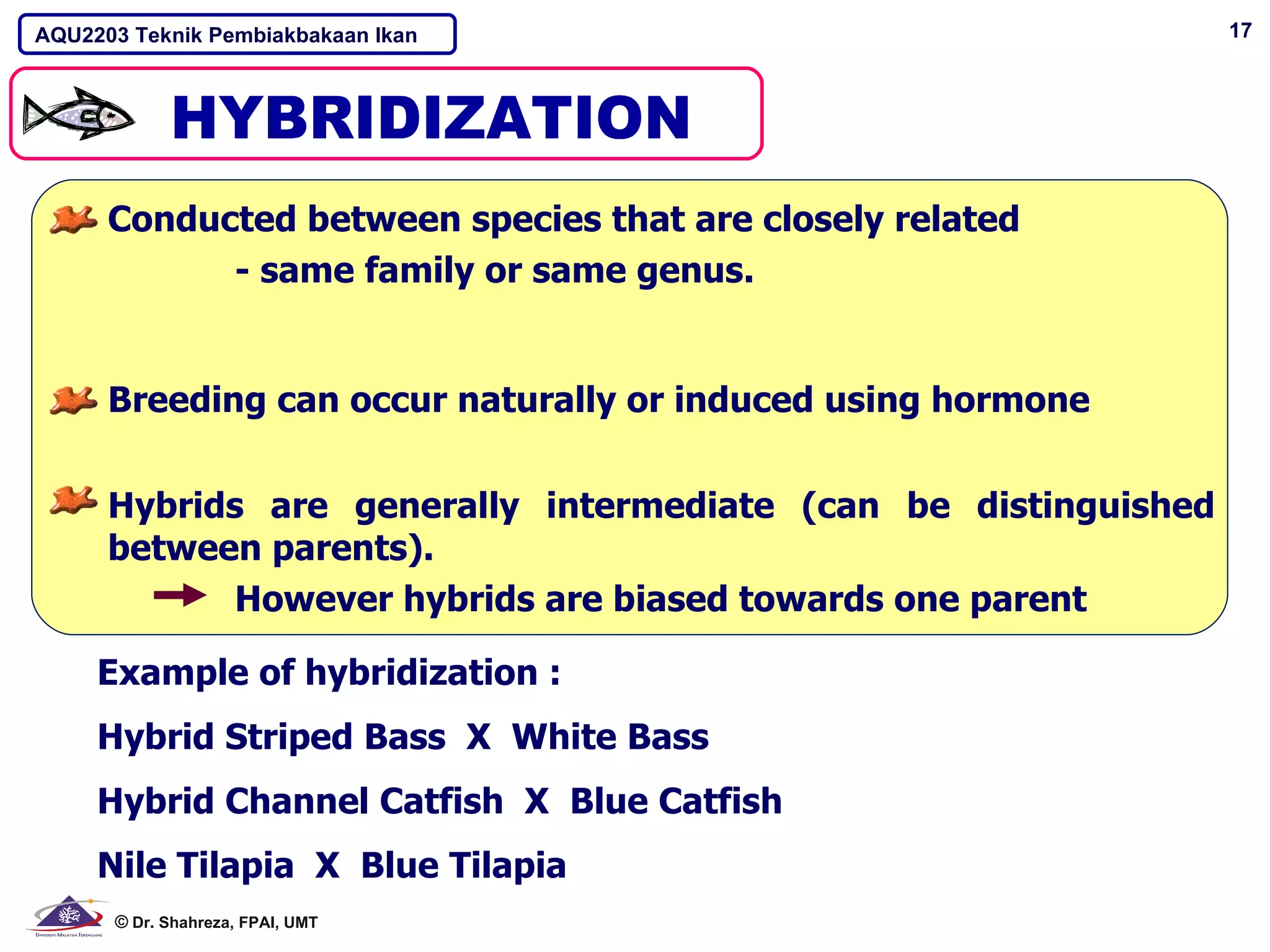 AQU2203 Teknik Pembiakbakaan Ikan                                17




      Conducted between species that are closely related
            - same family or same genus.


      Breeding can occur naturally or induced using hormone


      Hybrids are generally intermediate (can be distinguished
      between parents).
             However hybrids are biased towards one parent

     Example of hybridization :
     Hybrid Striped Bass X White Bass
     Hybrid Channel Catfish X Blue Catfish
     Nile Tilapia X Blue Tilapia
      © Dr. Shahreza, FPAI, UMT
 