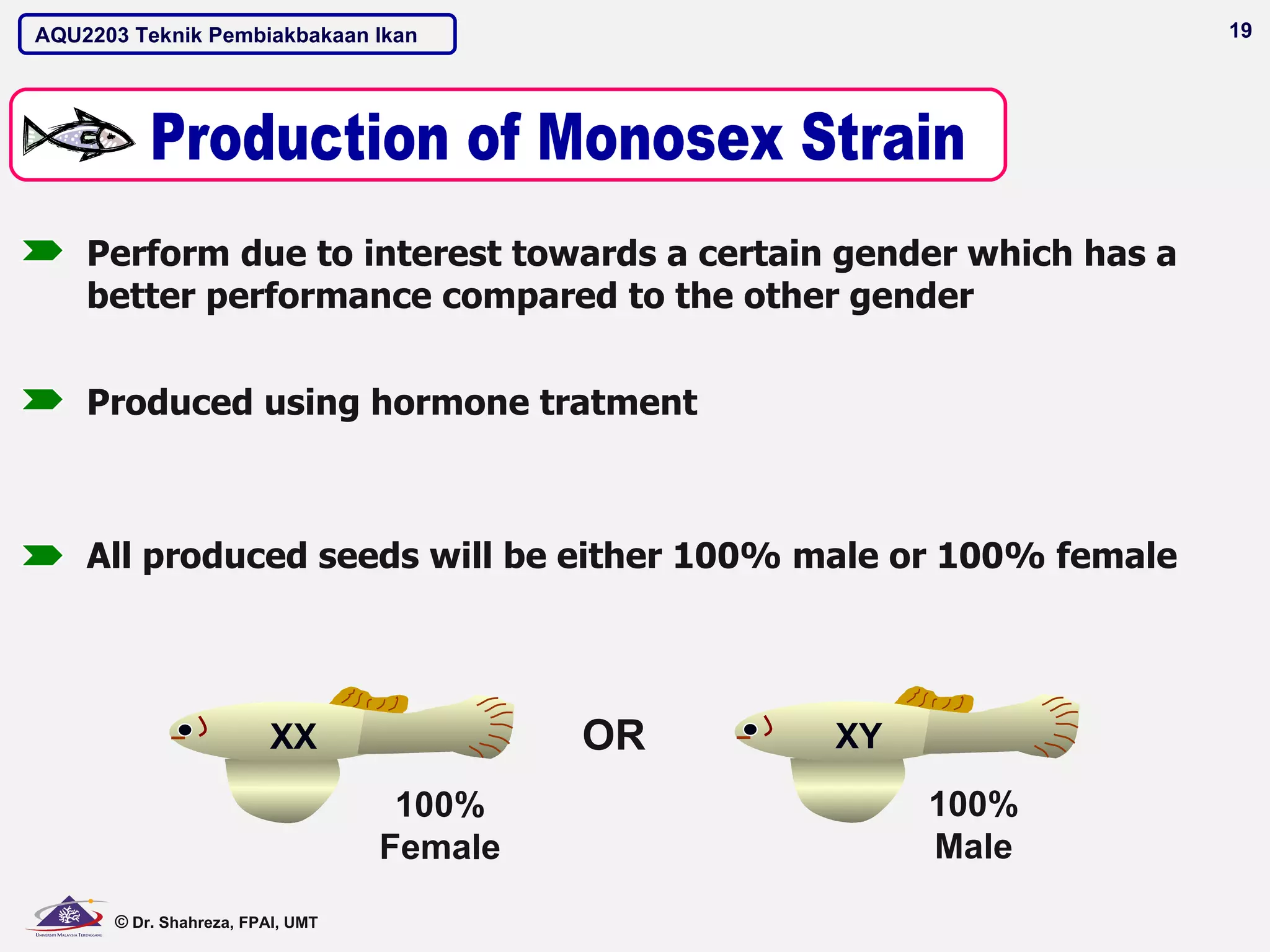 AQU2203 Teknik Pembiakbakaan Ikan                                  19




    Perform due to interest towards a certain gender which has a
    better performance compared to the other gender


    Produced using hormone tratment



    All produced seeds will be either 100% male or 100% female




                         XX                OR   XY
                                   100%              100%
                                  Female             Male
      © Dr. Shahreza, FPAI, UMT
 