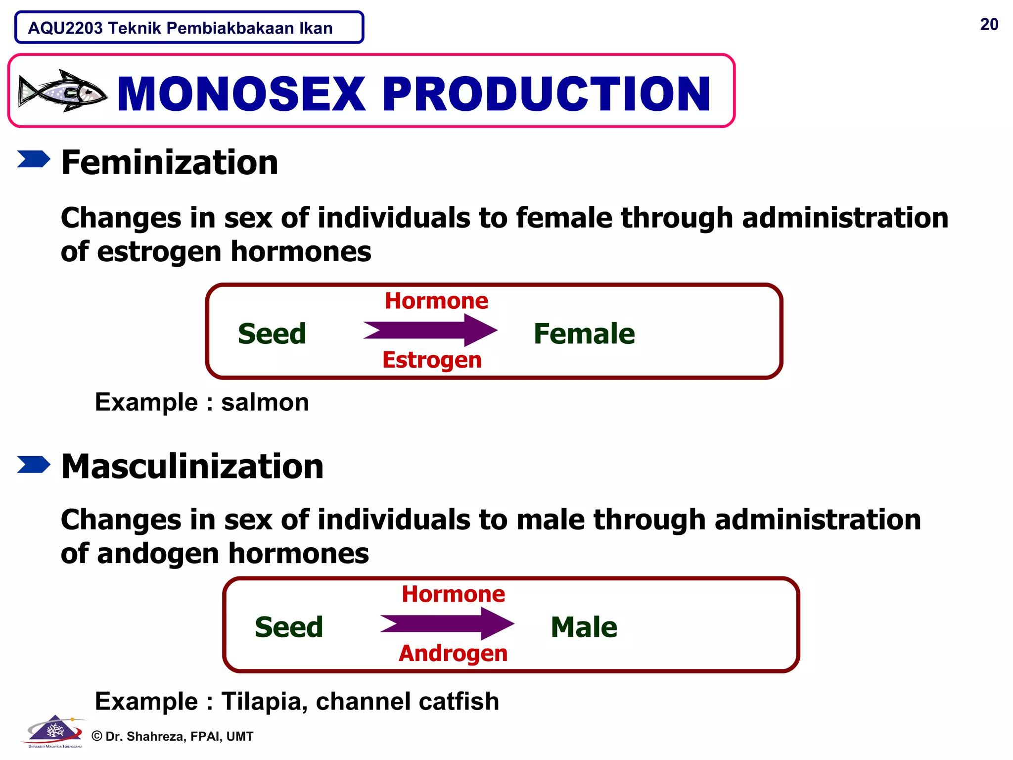 AQU2203 Teknik Pembiakbakaan Ikan                                   20




   Feminization
   Changes in sex of individuals to female through administration
   of estrogen hormones
                                         Hormone
                            Seed                     Female
                                         Estrogen
       Example : salmon

   Masculinization
   Changes in sex of individuals to male through administration
   of andogen hormones
                                          Hormone
                                  Seed                Male
                                          Androgen

       Example : Tilapia, channel catfish
      © Dr. Shahreza, FPAI, UMT
 