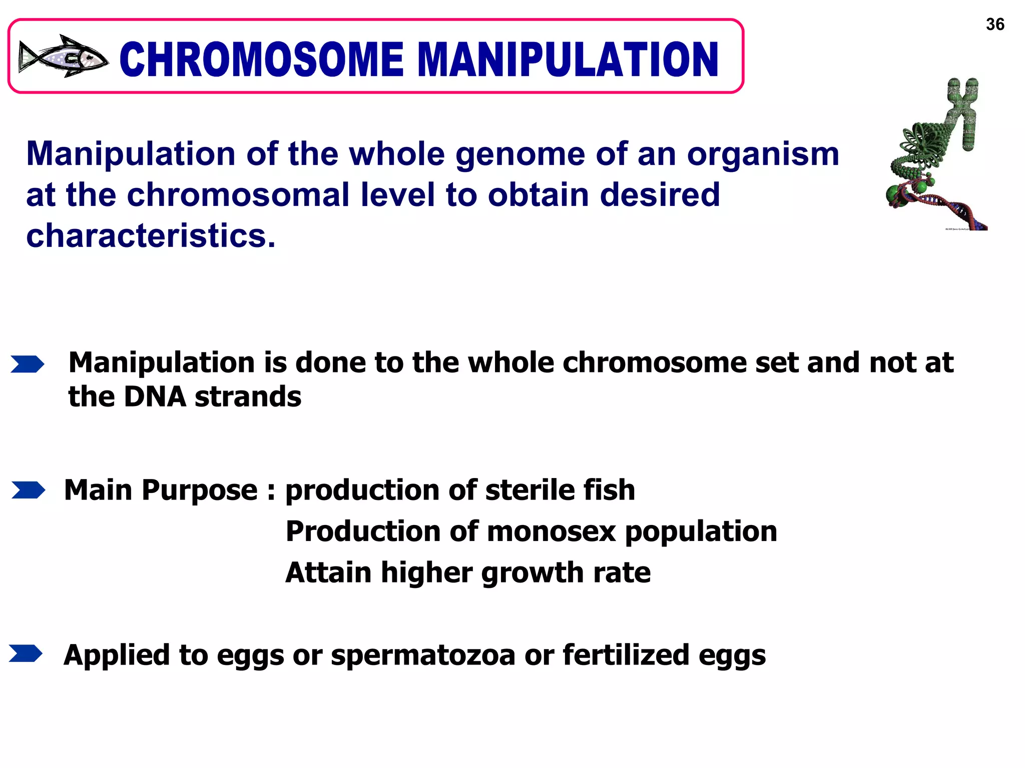 36




Manipulation of the whole genome of an organism
at the chromosomal level to obtain desired
characteristics.


  Manipulation is done to the whole chromosome set and not at
  the DNA strands


  Main Purpose : production of sterile fish
                 Production of monosex population
                 Attain higher growth rate

  Applied to eggs or spermatozoa or fertilized eggs
 