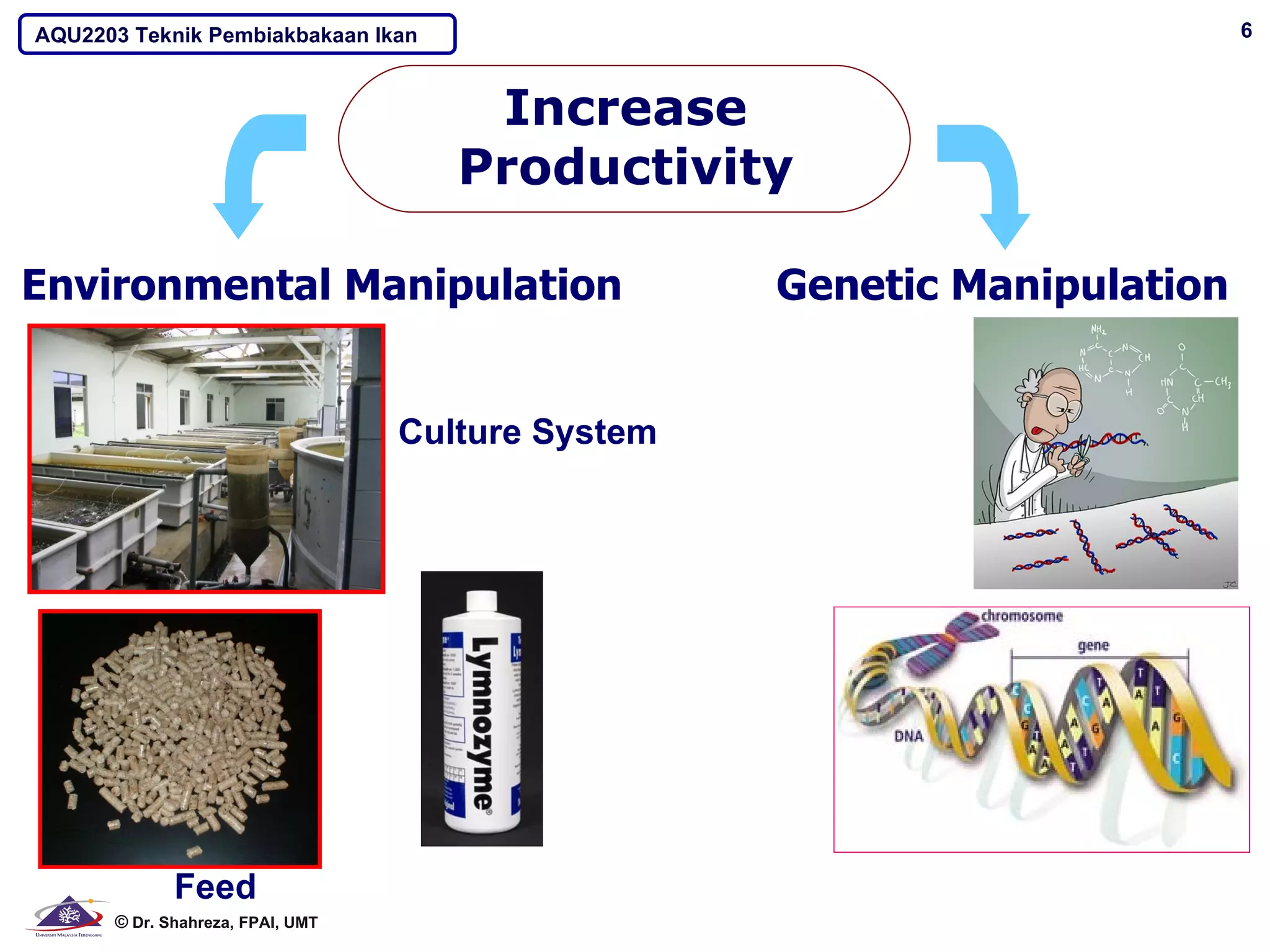 AQU2203 Teknik Pembiakbakaan Ikan                                               6



                                       Increase
                                      Productivity

Environmental Manipulation                               Genetic Manipulation


                                   Culture System




             Feed                 Additives – hormone,
      © Dr. Shahreza, FPAI, UMT   probiotic, chemicals
 
