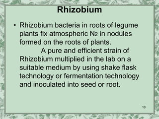 Rhizobium
• Rhizobium bacteria in roots of legume
  plants fix atmospheric N2 in nodules
  formed on the roots of plants.
         A pure and efficient strain of
  Rhizobium multiplied in the lab on a
  suitable medium by using shake flask
  technology or fermentation technology
  and inoculated into seed or root.


                                          10
 