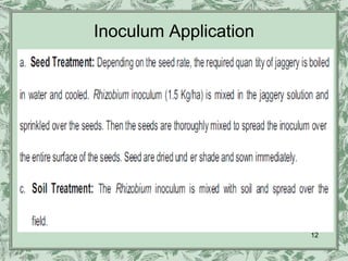 Inoculum Application




                       12
 