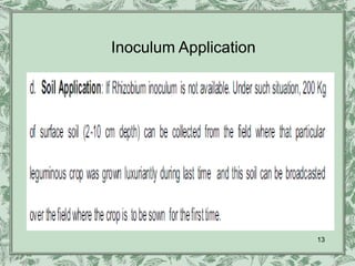 Inoculum Application




                       13
 