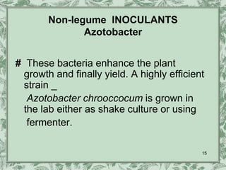 Non-legume INOCULANTS
               Azotobacter


# These bacteria enhance the plant
  growth and finally yield. A highly efficient
  strain _
   Azotobacter chrooccocum is grown in
  the lab either as shake culture or using
   fermenter.

                                             15
 