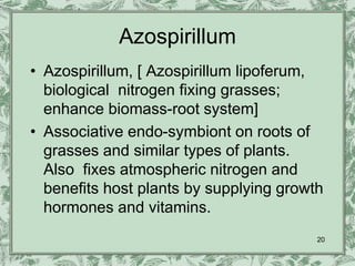 Azospirillum
• Azospirillum, [ Azospirillum lipoferum,
  biological nitrogen fixing grasses;
  enhance biomass-root system]
• Associative endo-symbiont on roots of
  grasses and similar types of plants.
  Also fixes atmospheric nitrogen and
  benefits host plants by supplying growth
  hormones and vitamins.
                                         20
 