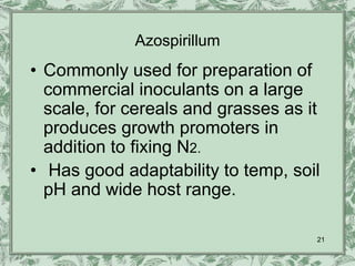 Azospirillum
• Commonly used for preparation of
  commercial inoculants on a large
  scale, for cereals and grasses as it
  produces growth promoters in
  addition to fixing N2.
• Has good adaptability to temp, soil
  pH and wide host range.

                                     21
 