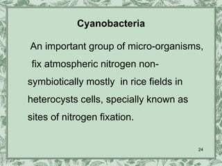 Cyanobacteria

An important group of micro-organisms,
 fix atmospheric nitrogen non-
symbiotically mostly in rice fields in
heterocysts cells, specially known as
sites of nitrogen fixation.


                                         24
 