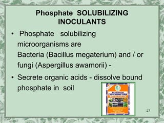 Phosphate SOLUBILIZING
            INOCULANTS
• Phosphate solubilizing
  microorganisms are
  Bacteria (Bacillus megaterium) and / or
  fungi (Aspergillus awamorii) -
• Secrete organic acids - dissolve bound
  phosphate in soil

                                            27
 