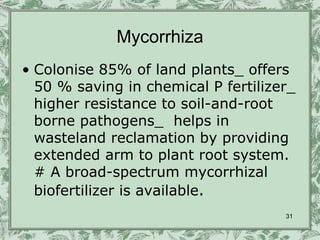Mycorrhiza
• Colonise 85% of land plants_ offers
  50 % saving in chemical P fertilizer_
  higher resistance to soil-and-root
  borne pathogens_ helps in
  wasteland reclamation by providing
  extended arm to plant root system.
  # A broad-spectrum mycorrhizal
  biofertilizer is available.
                                     31
 