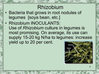 Rhizobium
• Bacteria that grows in root nodules of
  legumes [soya bean, etc.]
• Rhizobium INOCULANTS:
  Use of Rhizobium culture in legumes is
  most promising. On average, its use can
  supply 15-20 kg N/ha to legumes: increase
  yield up to 20 per cent.




                                         8
 