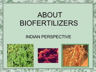 ABOUT
BIOFERTILIZERS
 INDIAN PERSPECTIVE
 