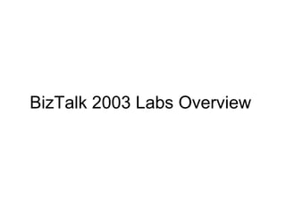 BizTalk 2003 Labs Overview 
 