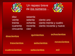 doscientos trescientos cuatrocientos quinientos seiscientos setecientos ochocientos novecientos mil Un repaso breve  de  los números … diez veinte treinta cuarenta cincuenta sesenta setenta ochenta noventa cien ciento uno ciento treinta y cuatro ciento noventa y nueve 