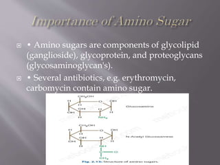  • Amino sugars are components of glycolipid
(ganglioside), glycoprotein, and proteoglycans
(glycosaminoglycan's).
 • Several antibiotics, e.g. erythromycin,
carbomycin contain amino sugar.
 