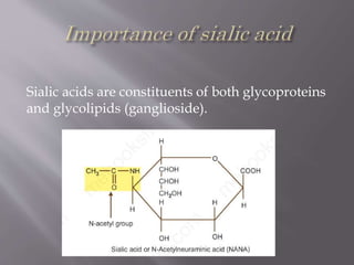 Sialic acids are constituents of both glycoproteins
and glycolipids (ganglioside).
 