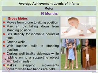 Notes on growth & development | PPT