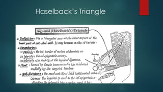 Notes on Hernias got medical students, types and manamgnet | PPTX