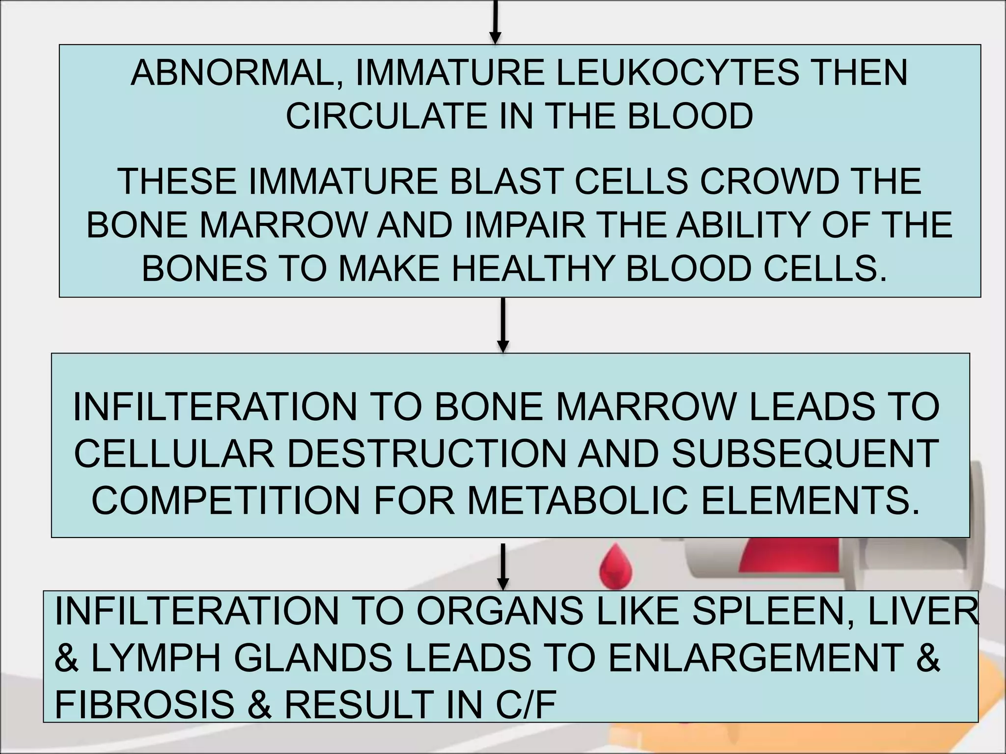 ABNORMAL, IMMATURE LEUKOCYTES THEN
CIRCULATE IN THE BLOOD
THESE IMMATURE BLAST CELLS CROWD THE
BONE MARROW AND IMPAIR THE ABILITY OF THE
BONES TO MAKE HEALTHY BLOOD CELLS.
INFILTERATION TO BONE MARROW LEADS TO
CELLULAR DESTRUCTION AND SUBSEQUENT
COMPETITION FOR METABOLIC ELEMENTS.
INFILTERATION TO ORGANS LIKE SPLEEN, LIVER
& LYMPH GLANDS LEADS TO ENLARGEMENT &
FIBROSIS & RESULT IN C/F
 