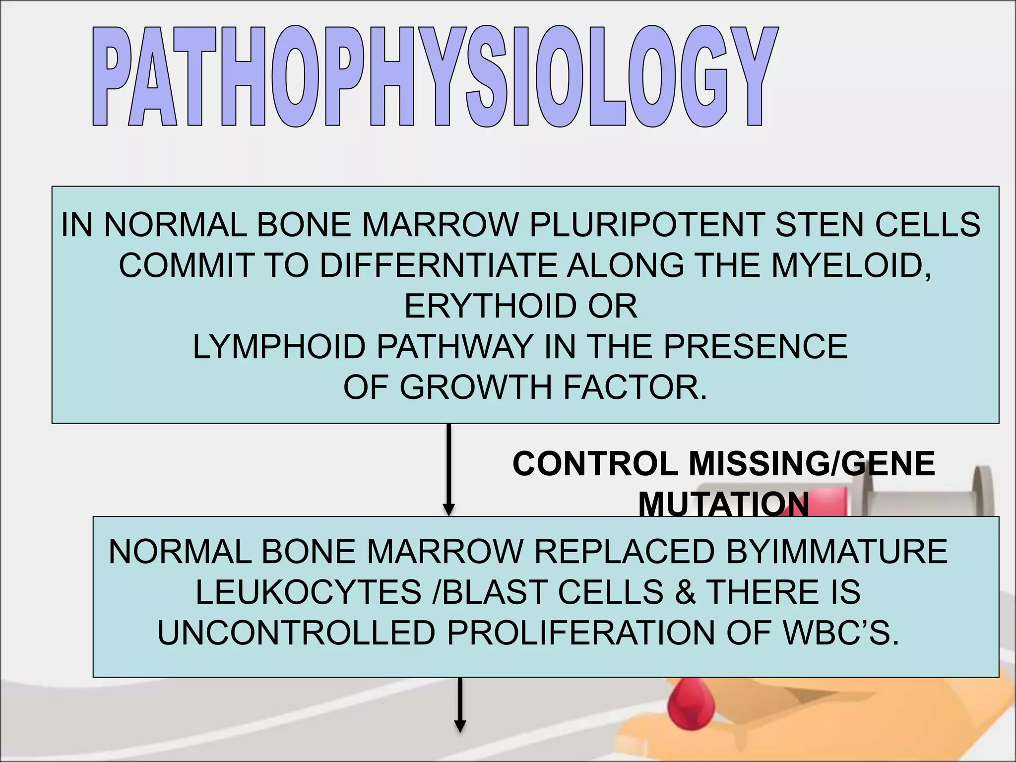 IN NORMAL BONE MARROW PLURIPOTENT STEN CELLS
COMMIT TO DIFFERNTIATE ALONG THE MYELOID,
ERYTHOID OR
LYMPHOID PATHWAY IN THE PRESENCE
OF GROWTH FACTOR.
CONTROL MISSING/GENE
MUTATION
NORMAL BONE MARROW REPLACED BYIMMATURE
LEUKOCYTES /BLAST CELLS & THERE IS
UNCONTROLLED PROLIFERATION OF WBC’S.
 