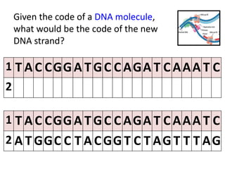 Given the code of a DNA molecule,
what would be the code of the new
DNA strand?
1 T A C CGGA T GC C AGA T C AAA T C
2 A T GGC C T A CGG T C T AG T T T AG
1 T A C CGGA T GC C AGA T C AAA T C
2