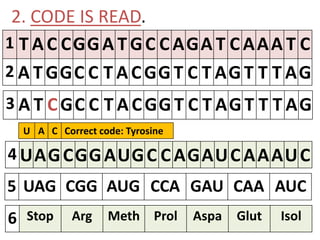 2. CODE IS READ.
1 T A C CGGA T GC C AGA T C AAA T C
2 A T GGC C T A CGG T C T AG T T T AG
3 A T CGC C T A CGG T C T AG T T T AG
4 UAGCGGAUGC CAGAUCAAAUC
5 UAG CGG AUG CCA GAU CAA AUC
6 Stop Arg Meth Prol Aspa Glut Isol
U A C Correct code: Tyrosine