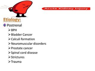 Postrenal
BPH
Bladder Cancer
Calculi formation
Neuromuscular disorders
Prostate cancer
Spinal cord disease
Strictures
Trauma
 