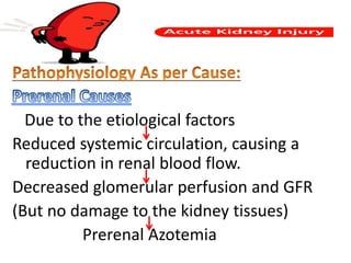 Due to the etiological factors
Reduced systemic circulation, causing a
reduction in renal blood flow.
Decreased glomerular perfusion and GFR
(But no damage to the kidney tissues)
Prerenal Azotemia
 