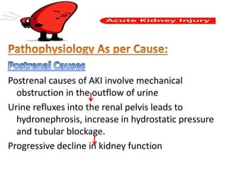 Postrenal causes of AKI involve mechanical
obstruction in the outflow of urine
Urine refluxes into the renal pelvis leads to
hydronephrosis, increase in hydrostatic pressure
and tubular blockage.
Progressive decline in kidney function
 