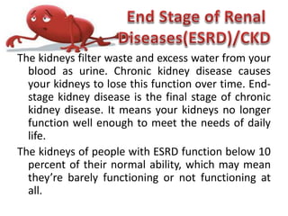 The kidneys filter waste and excess water from your
blood as urine. Chronic kidney disease causes
your kidneys to lose this function over time. End-
stage kidney disease is the final stage of chronic
kidney disease. It means your kidneys no longer
function well enough to meet the needs of daily
life.
The kidneys of people with ESRD function below 10
percent of their normal ability, which may mean
they’re barely functioning or not functioning at
all.
 