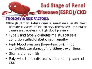 Although chronic kidney disease sometimes results from
primary diseases of the kidneys themselves, the major
causes are diabetes and high blood pressure.
• Type 1 and type 2 diabetes mellitus cause a
condition called diabetic nephropathy.
• High blood pressure (hypertension), if not
controlled, can damage the kidneys over time.
• Glomerulonephritis
• Polycystic kidney disease is a hereditary cause of
CKD
 