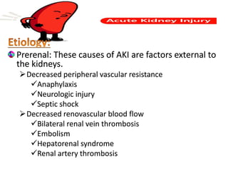 Prerenal: These causes of AKI are factors external to
the kidneys.
Decreased peripheral vascular resistance
Anaphylaxis
Neurologic injury
Septic shock
Decreased renovascular blood flow
Bilateral renal vein thrombosis
Embolism
Hepatorenal syndrome
Renal artery thrombosis
 