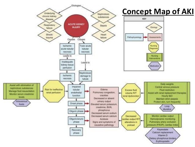 acute renal failure concept map Notes On Renal Failure acute renal failure concept map