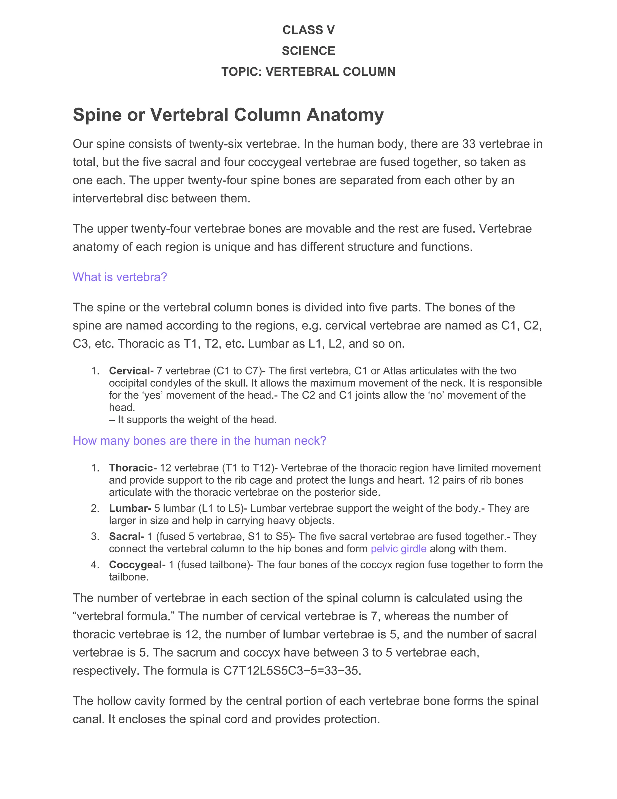 NOTES ON VERTEBRAL COLUMN ITS STRUCTURE AND FUNCTIONS | DOCX