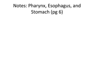Notes: Pharynx, Esophagus, and
        Stomach (pg 6)
 
