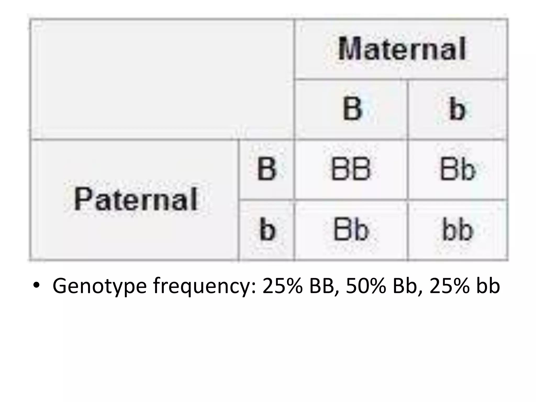 • Genotype frequency: 25% BB, 50% Bb, 25% bb
 