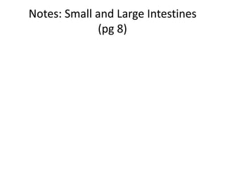 Notes: Small and Large Intestines
              (pg 8)
 
