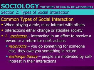 Sociate notes soc chapter 3.ppt