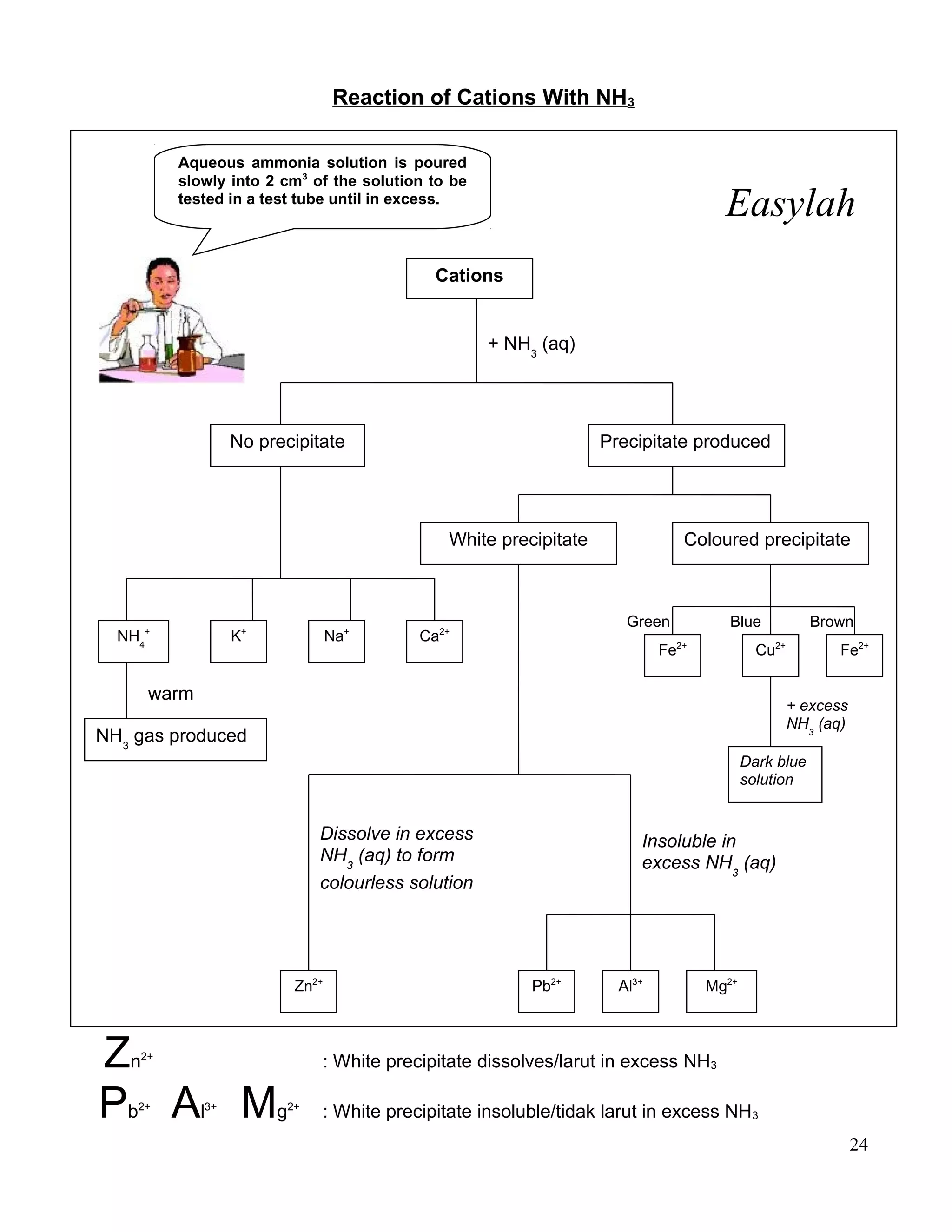 Reaction of Cations With NH3
Zn2+
: White precipitate dissolves/larut in excess NH3
Pb2+
Al3+
Mg2+
: White precipitate insoluble/tidak larut in excess NH3
24
Cations
Precipitate producedNo precipitate
White precipitate Coloured precipitate
Green Blue Brown
Fe2+
Cu2+
Fe2+
NH4
+
K+
Na+
Aqueous ammonia solution is poured
slowly into 2 cm3
of the solution to be
tested in a test tube until in excess.
NH3
gas produced
warm
Zn2+
Al3+
Pb2+
Ca2+
Mg2+
Easylah
+ NH3
(aq)
+ excess
NH3
(aq)
Dark blue
solution
Dissolve in excess
NH3
(aq) to form
colourless solution
Insoluble in
excess NH3
(aq)
 