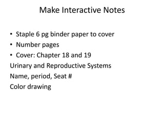 Make Interactive Notes
• Staple 6 pg binder paper to cover
• Number pages
• Cover: Chapter 18 and 19
Urinary and Reproductive Systems
Name, period, Seat #
Color drawing
 