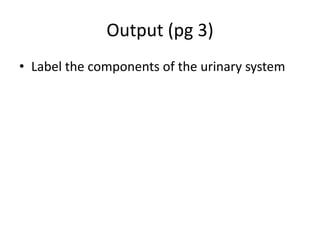 Output (pg 3)
• Label the components of the urinary system
 