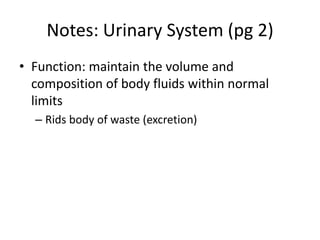 Notes: Urinary System (pg 2)
• Function: maintain the volume and
composition of body fluids within normal
limits
– Rids body of waste (excretion)
 