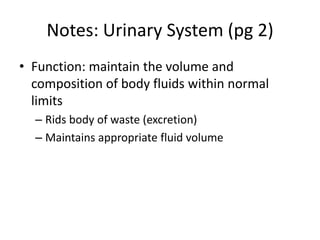 Notes: Urinary System (pg 2)
• Function: maintain the volume and
composition of body fluids within normal
limits
– Rids body of waste (excretion)
– Maintains appropriate fluid volume
 